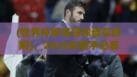 (世界杯摩洛哥球盘买球网)，2026年新手必看操作指南与避坑建议