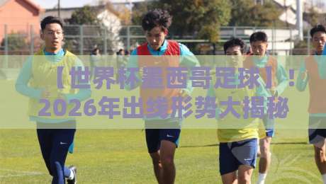 【世界杯墨西哥足球】！2026年出线形势大揭秘：阵容、草根与冷知识