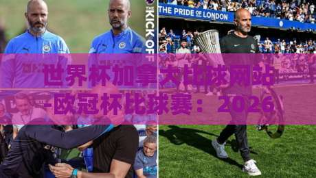 世界杯加拿大比球网站-欧冠杯比球赛：2026年最值得关注的五大平台与实用技巧