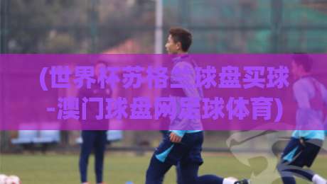 (世界杯苏格兰球盘买球-澳门球盘网足球体育)：2026世界杯盘口深度解析与实战技巧