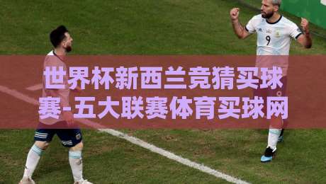 世界杯新西兰竞猜买球赛-五大联赛体育买球网，2026年球迷必看指南