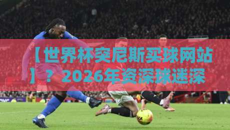 【世界杯突尼斯买球网站】？2026年资深球迷深度解析：从平台甄别到合规玩法全攻略