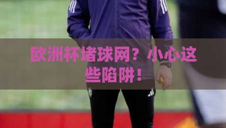 欧洲杯堵球网？小心这些陷阱！