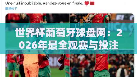 世界杯葡萄牙球盘网:2026年最全观赛与投注指南 世界杯葡萄牙球盘网:2026年最全观赛与投注指南