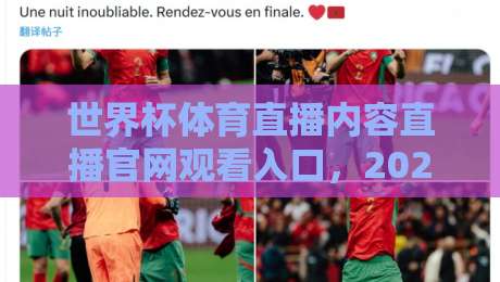 世界杯体育直播内容直播官网观看入口，2026年球迷必看的终极指南！