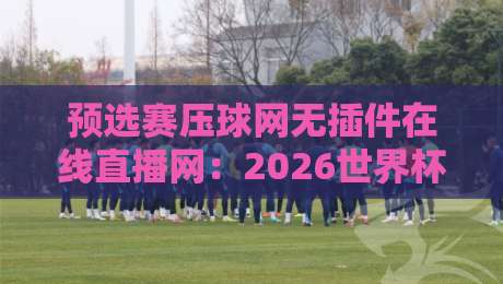 预选赛压球网无插件在线直播网：2026世界杯预选赛观赛新选择，球迷必看指南